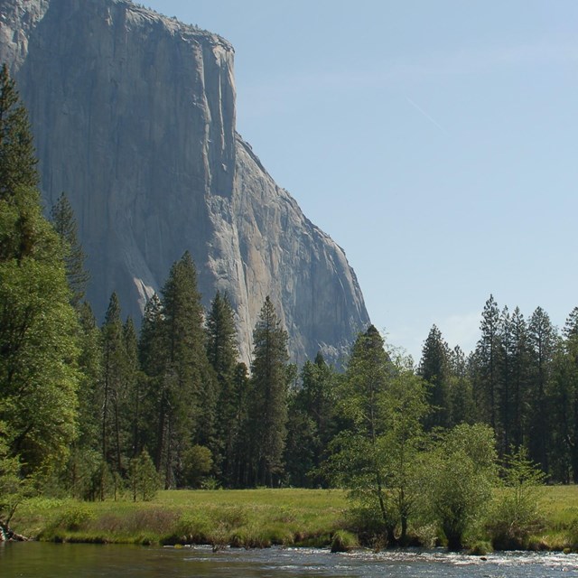 River flanked by grass and forest flows in the foreground with tall granite peaks in the background.