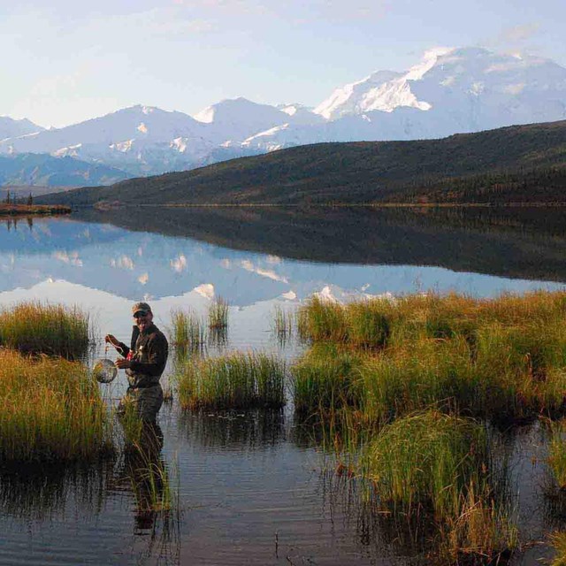 A researcher collects water samples from Wonder Lake with Denali reflected in the water behind him.