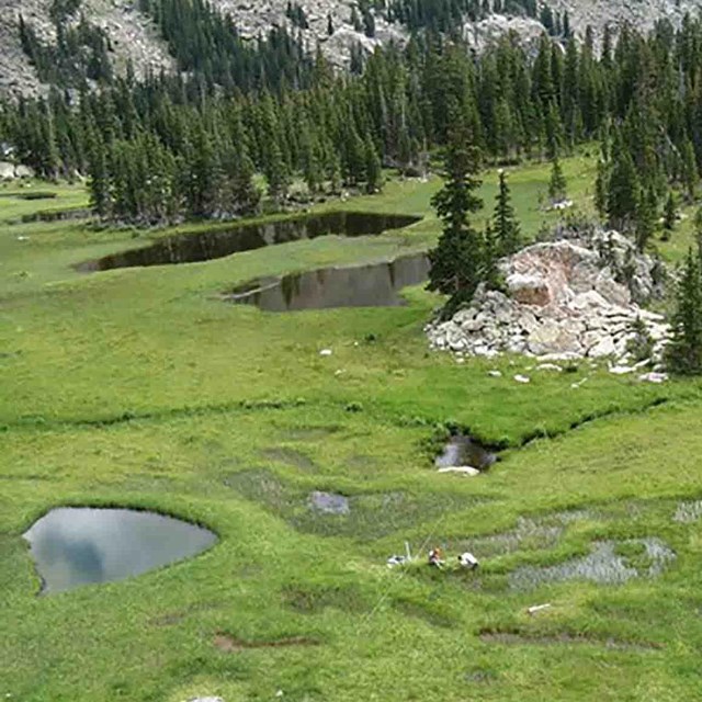 An aerial view of an alpine meadow and wetlands.