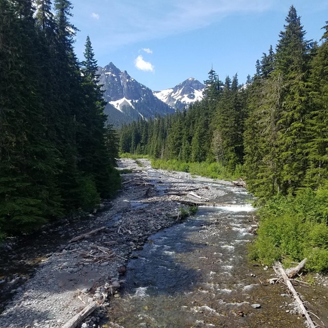 Shallow rushing river with snowy peaks in the distance