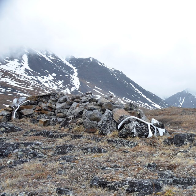 A valley surrounded by peaks with snow, with a rock wall with a caribou antler in front
