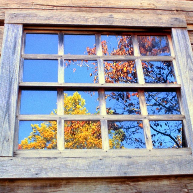 A glass window in a wooden building reflects yellow and red leaves on trees.