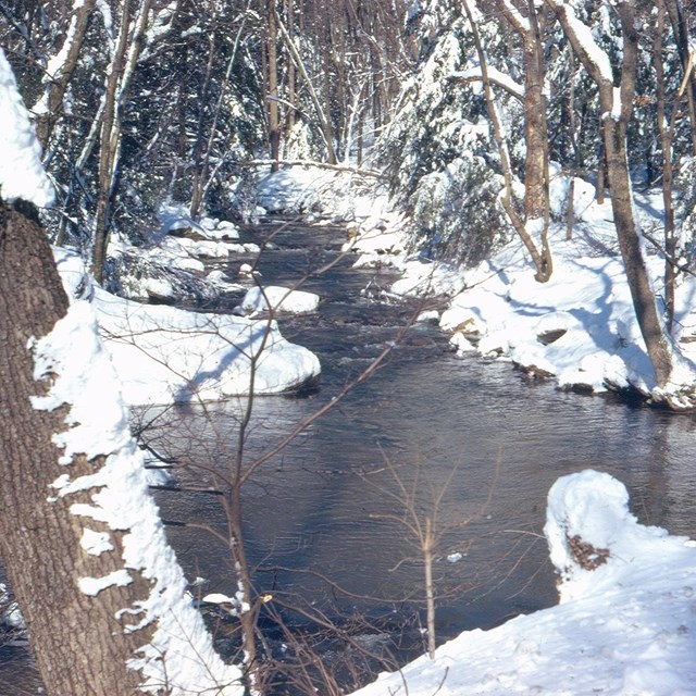 A creek surrounded by leafless trees and snow on the ground.