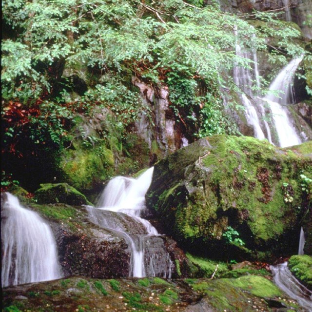 Many smaller waterfalls cascade down moss covered rocks with trees and green leaves framing.