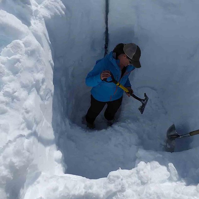 A researcher digs a snow pit on a glacier.