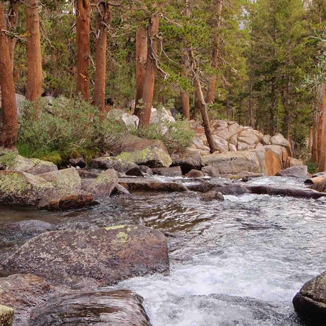 A mountain river bordered by boulders and trees.