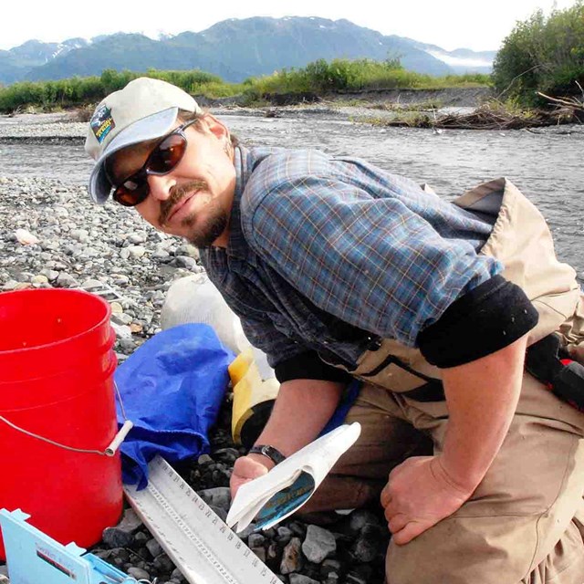 A researcher collecting and measuring fish along a river.