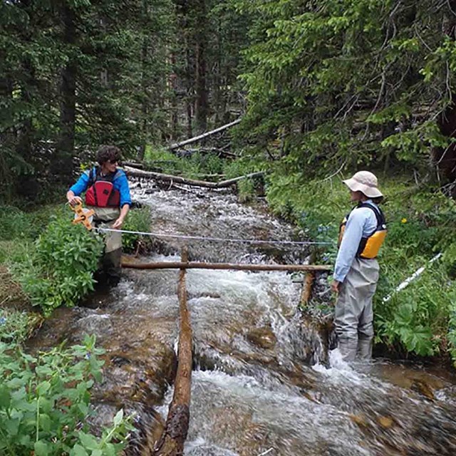 Two researchers measure the width of a stream in a forest.