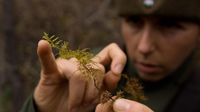 Learn About Park Science