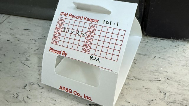 Monitoring Insect Pests with Sticky Traps