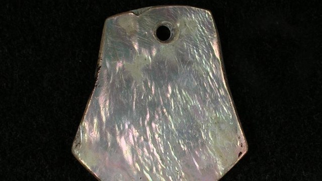 Link to Point Reyes Museum Collections