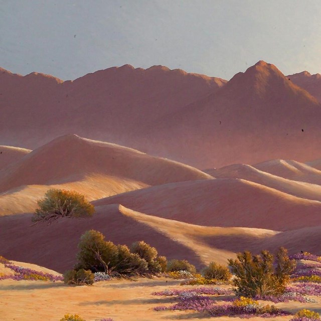 Link to Death Valley National Park Virtual Museum Exhibit