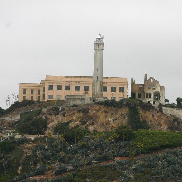 Alcatraz Island