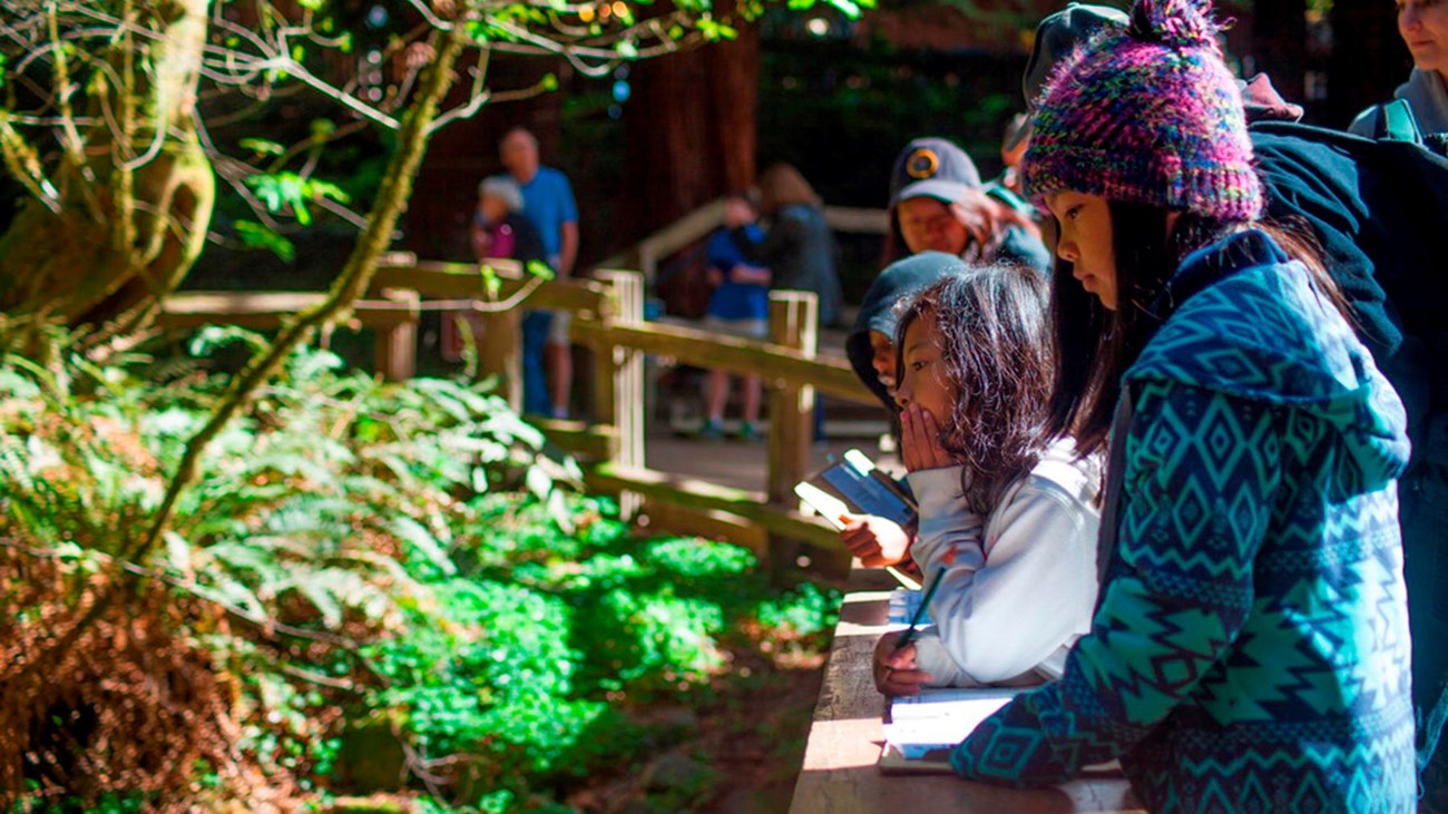 Two children complete their Junior Ranger Books while standing on a bridge at Muir Woods