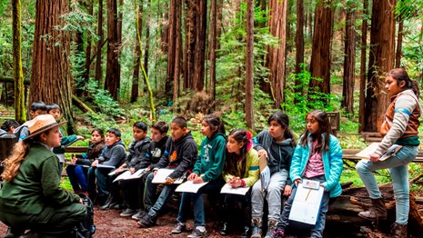 A ranger sits in front of a group of children in the middle of a redwood grove