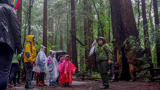 A ranger talks to a group of students on a rainy day in the forest