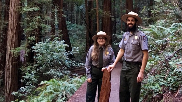 Two rangers stand on a trail in a redwood forest