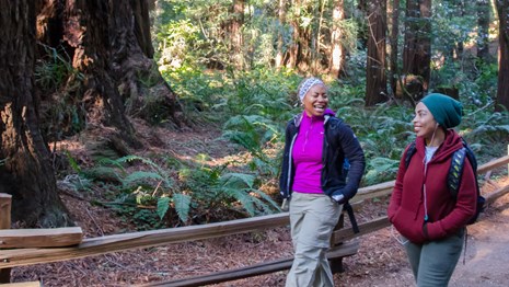 Two women enjoy a walk along a Muir Woods hiking trail