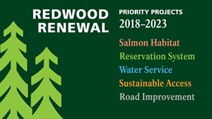 Green image with light green trees and list of words describing Redwood Renewal Begins projects