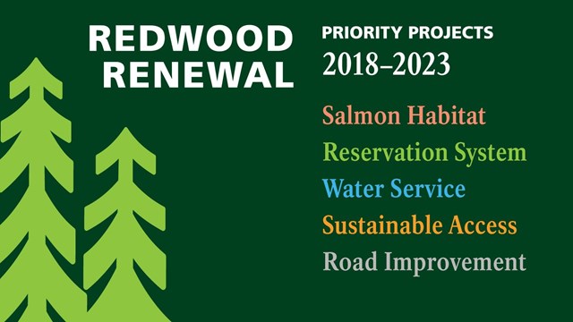 Green image with light green trees and list of words describing Redwood Renewal Begins projects