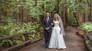 A  bride and groom among the redwoods