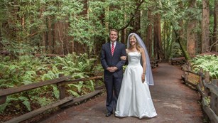A bride and groom among the redwoods