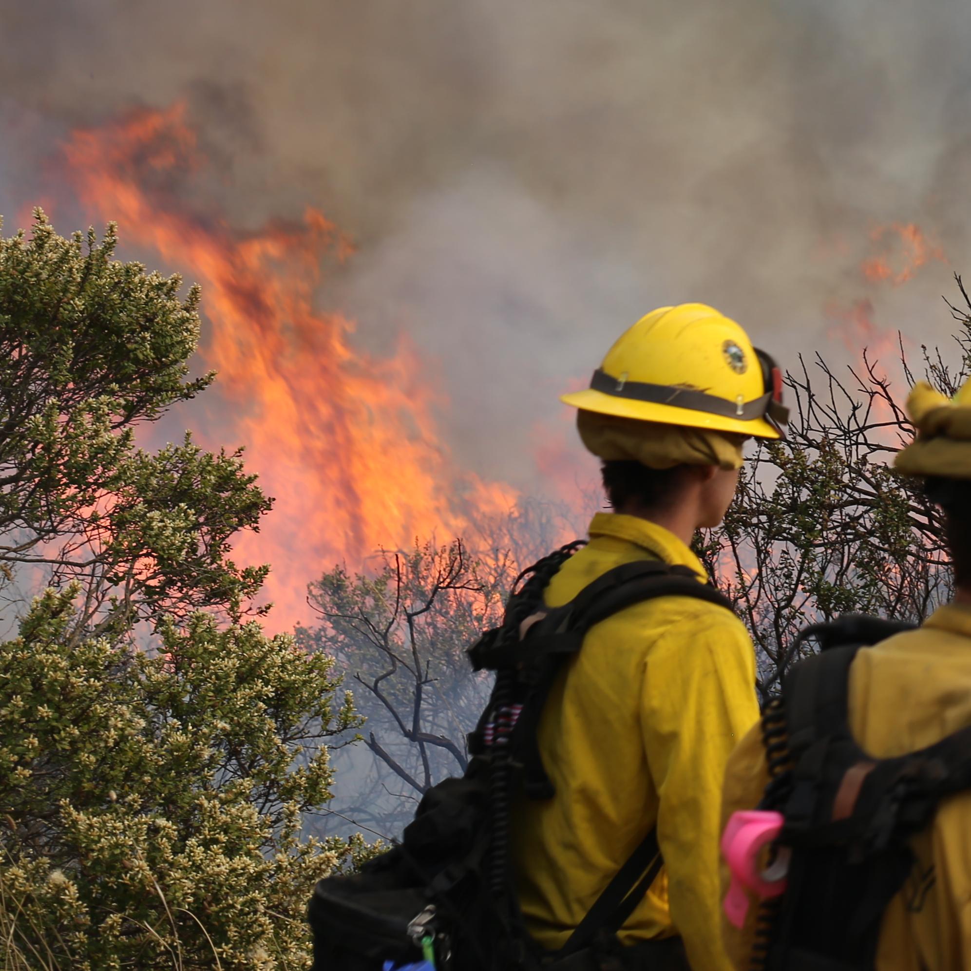 Fire fighting crews look on as plants burn in a fire