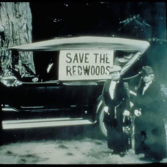 Archive image, women, save the redwoods