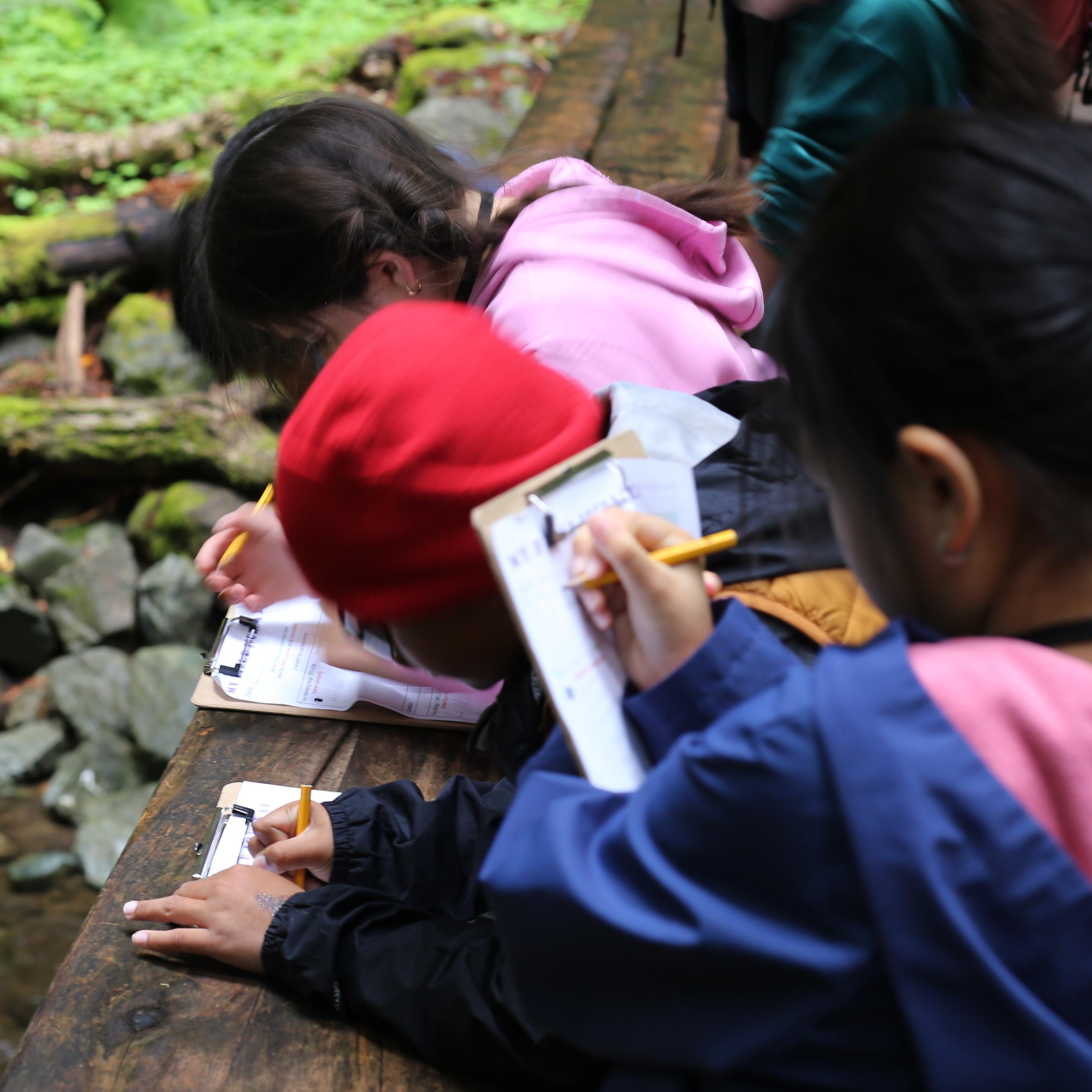 Students stand above a creek while completing a worksheet.