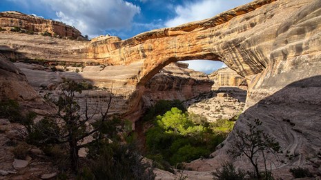 Natural Bridges National Monument 