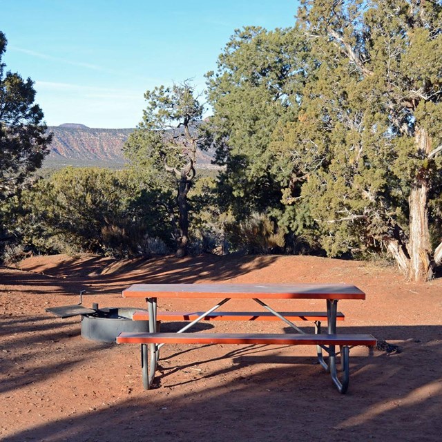 picnic table and fire grill at Natural Bridges campsite