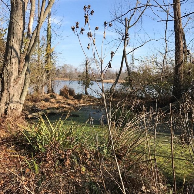 Kenilworth Park Landfill Site 