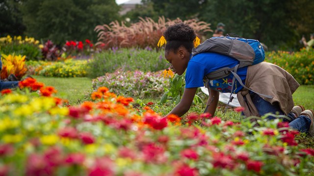 Volunteer weeding flower bed at Floral Library