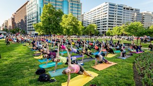 A large group does pilates in a downtown park