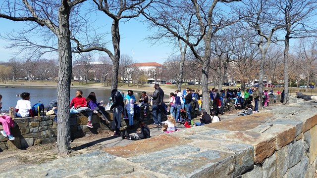 School Group on a Field Trip in the Park