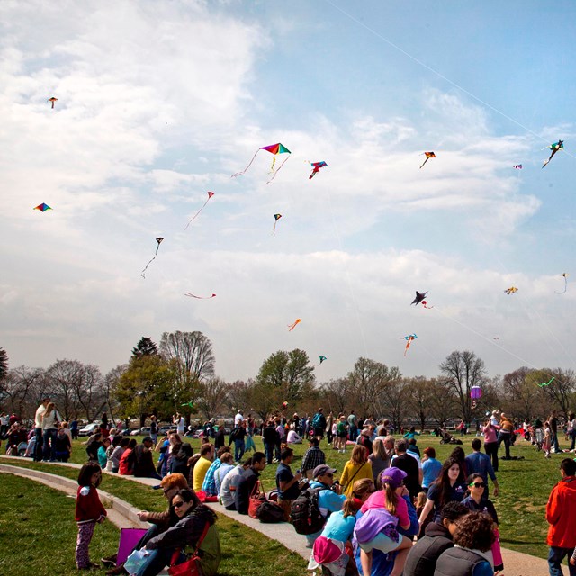 Large crowd flying kites in the park