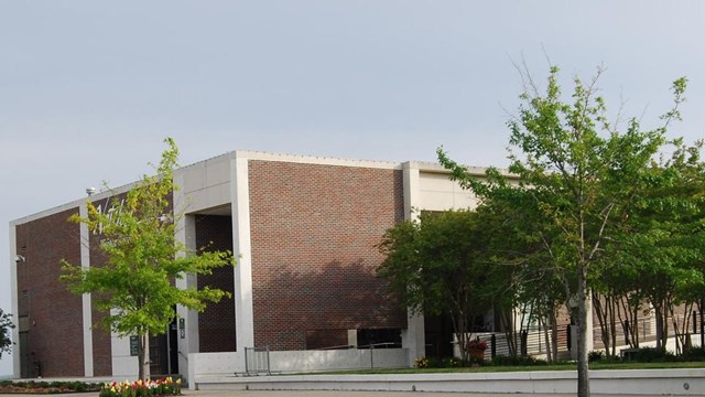 Flowers in bllom in front of brick building