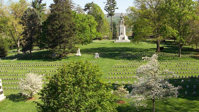 Overview of cemetery landscape showing rows of uniform marble headstones, turf, trees, and monuments
