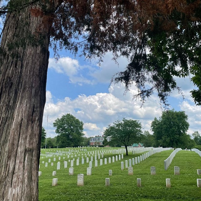 Rows of uniform marble headstones in a cemetery of turf, scattered trees, and a lodge in background