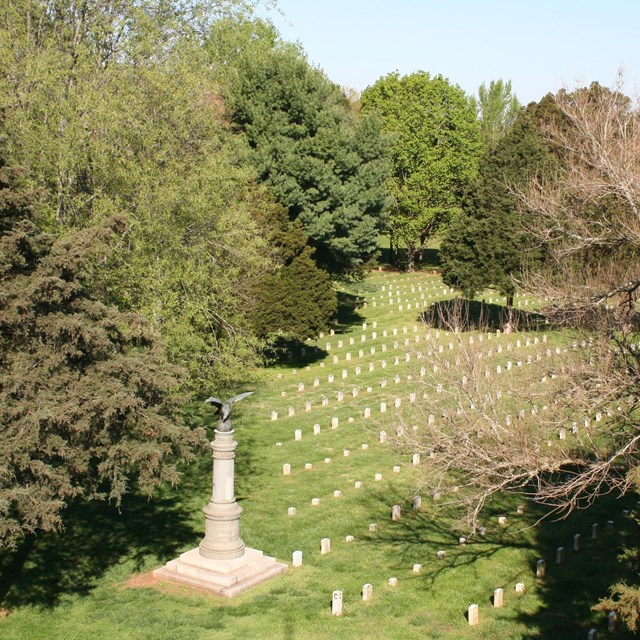 Aerial cemetery view, where a variety of large trees grow among rows of headstones and a monument
