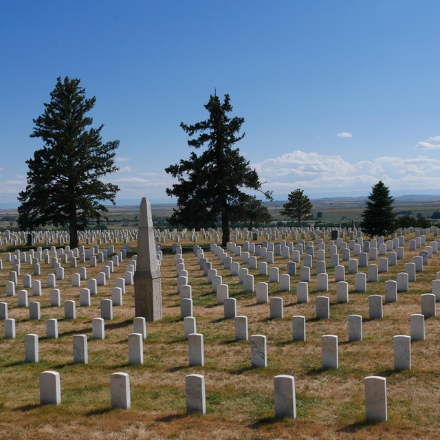 An obelisk-shaped monument stands out among rows of uniform marble headstones in short, dry turf