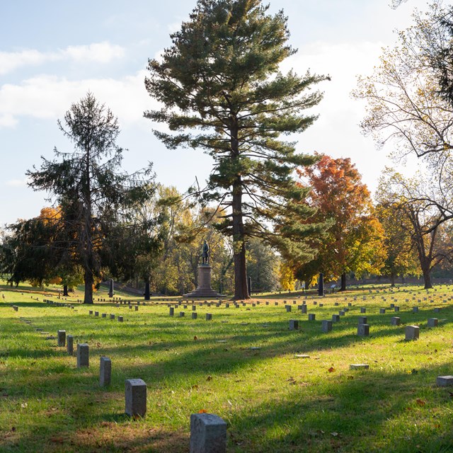 Rows of uniform headstones extend across level turf, with scattered autumn trees and a flagpole.