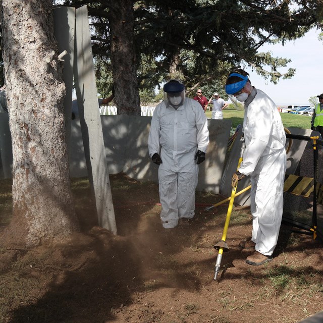 NPS employees in clothing covering and masks use a hose to direct compressed air around tree roots