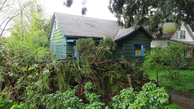 House set back with fallen trees in foreground