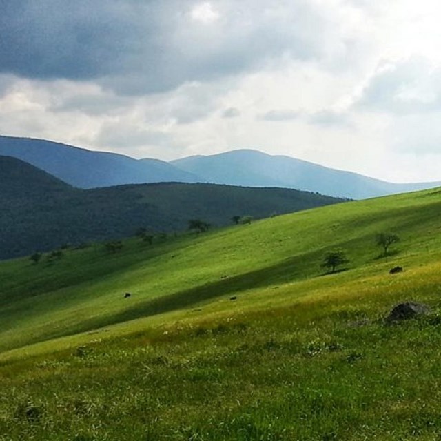 Appalachian National Scenic Trail