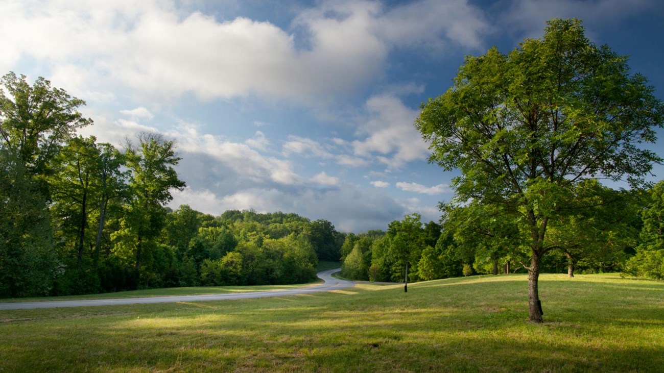 A two lane road lined with trees and a grassy knoll. The sky is blue with billowing clouds.