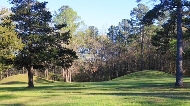 Two rounded earthen works in the distance, surrounded by trees.