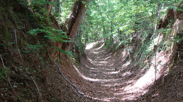 A trail that is u shaped and sunken below the forest floor. 