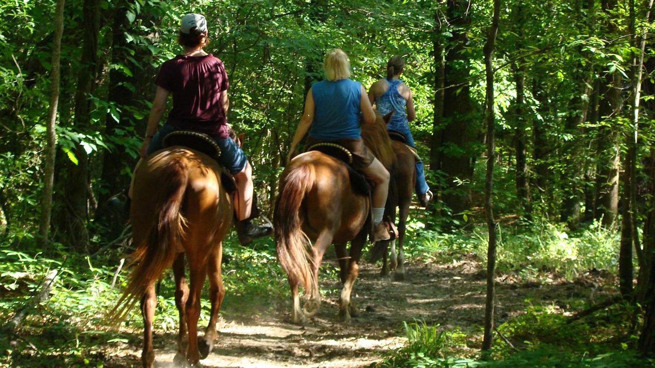 Three visitors horseback riding the Natchez Trace National Scenic Trail.