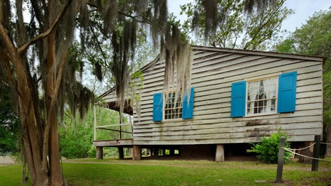 A historic 1820s plantation house obscured by a crepe myrtle.